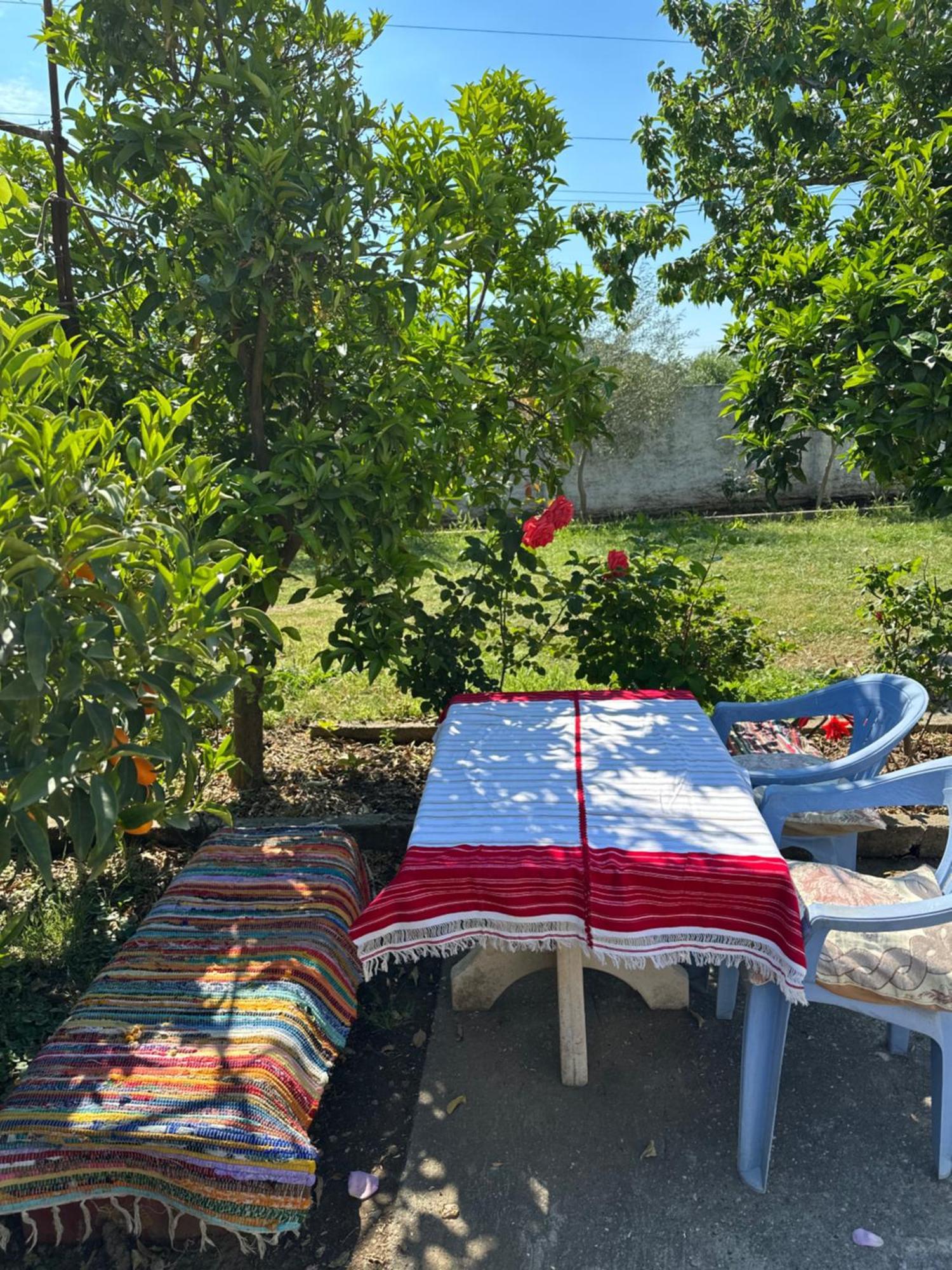 Villa Zefi Rrenc Shkodër Exterior foto